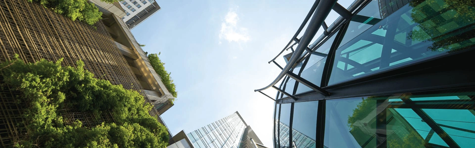 Sustainable Development Banner