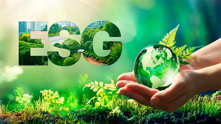 Gemadept Dung Quat pioneers in developing and implementing the Green Port Standards