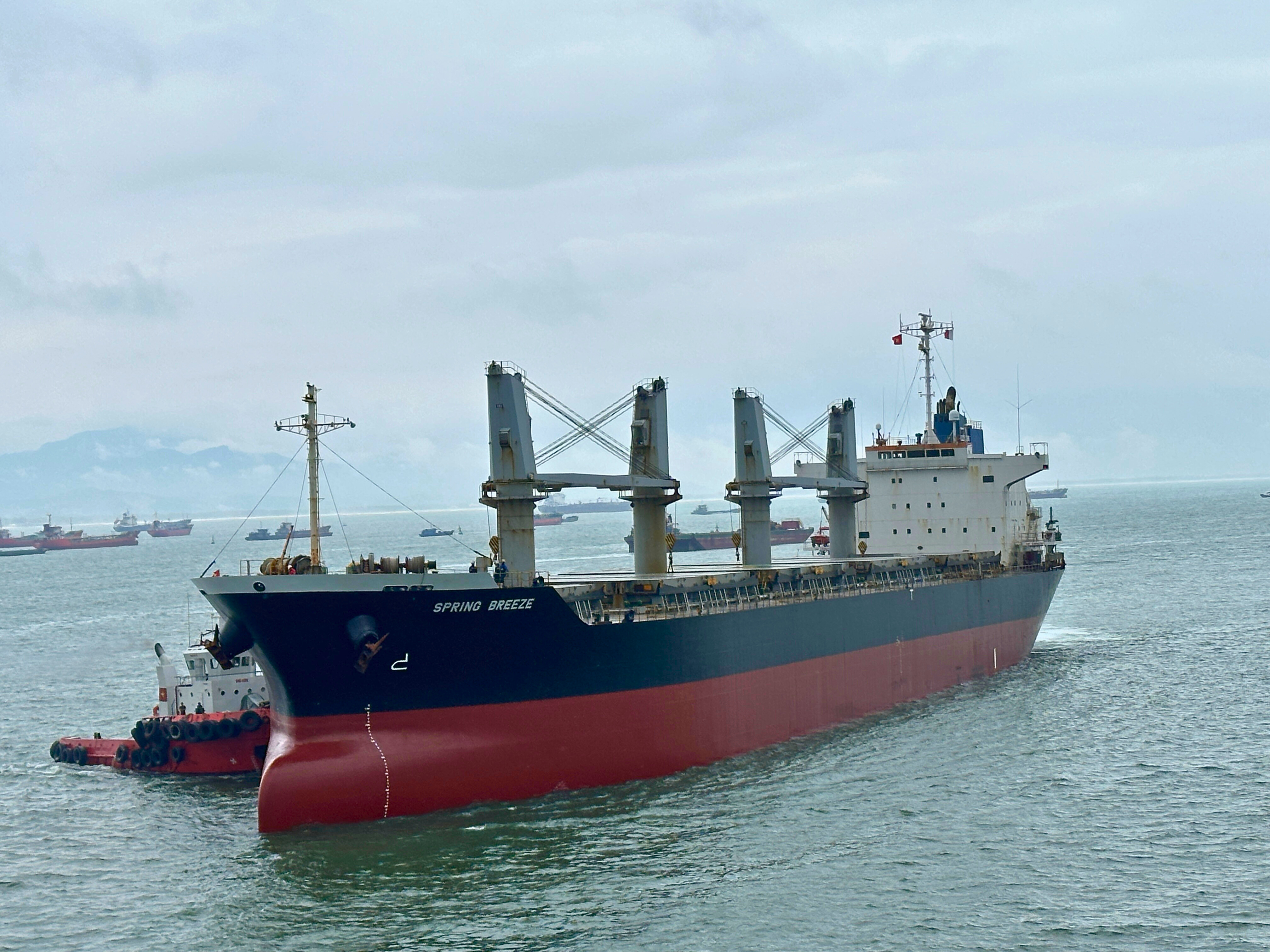 Gemadept Dung Quất khai thác tàu viên nén lớn nhất, đầu tiên khu vực Dung Quất